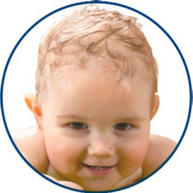 bebe
